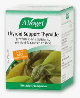 Vogel Thyroid Support Iodine Deficiency - C Est Quoi L Iode, HD Png Download, Free Download