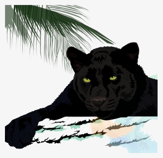 Black Cougar Leopard Jaguar - Jaguar Puma Black Panther Panther, HD Png Download, Free Download