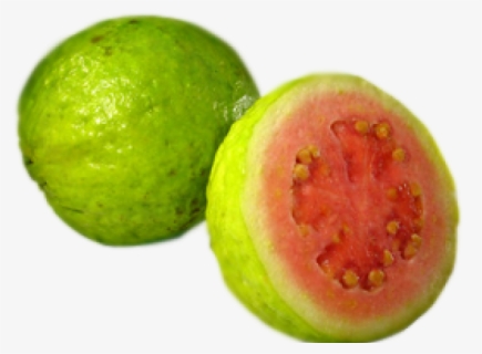 Guava Cliparts - Guava Clipart Png, Transparent Png, Free Download