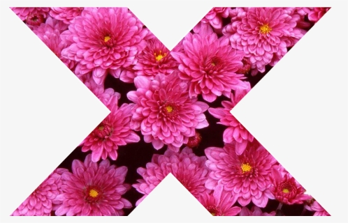 X X Cross Flower Pink Girly Pink Nature Collor Tumblr - Flowers, HD Png Download, Free Download