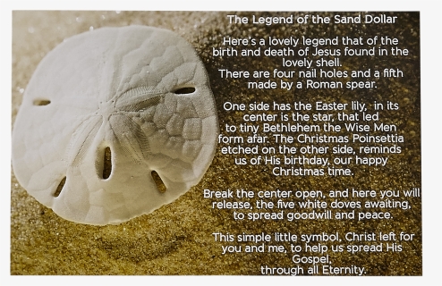 18 Legend Of The Sand Dollars Post Card - Legend Of The Sand Dollar, HD Png Download, Free Download
