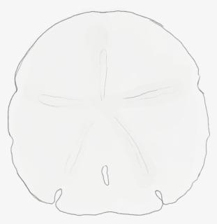 Sketch, HD Png Download, Free Download