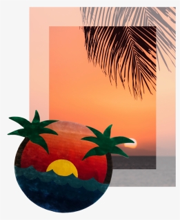 Impression - Seedless Fruit, HD Png Download, Free Download