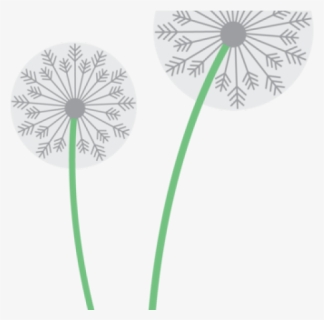 Circle, HD Png Download, Free Download