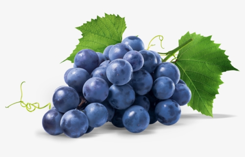 Uva Nera Png 6 » Png Image - Grapes Transparent Background, Png Download, Free Download