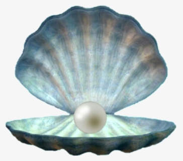 #sea #shell #pearl #mermaid #blue #green #fantasy #fantastic - 15 Yaş Gece Kıyafetleri, HD Png Download, Free Download