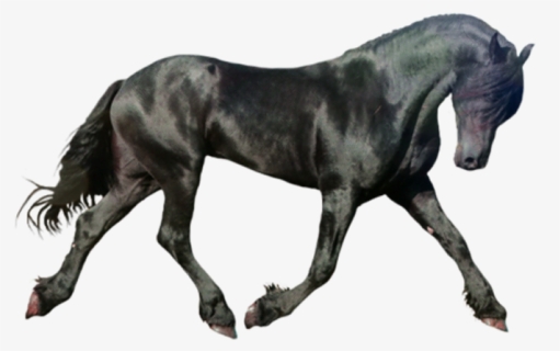 Dark Horse Png Download - Black Horse Running, Transparent Png, Free Download