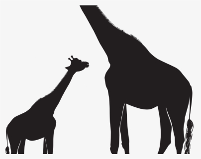 Giraffe And Baby Silhouette, HD Png Download, Free Download