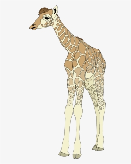 Vector Graphics,free Pictures, Free Photos, Free Images, - Giraffe Clip Art, HD Png Download, Free Download
