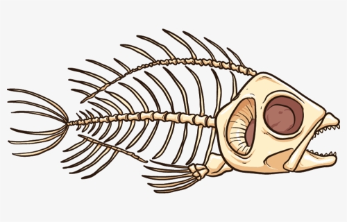 Fish Skeleton Png, Transparent Png - kindpng