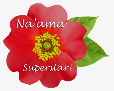 Naama Commendation - Rosa Rubiginosa, HD Png Download, Free Download