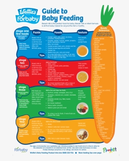 Baby Foods By Age List, HD Png Download, Free Download