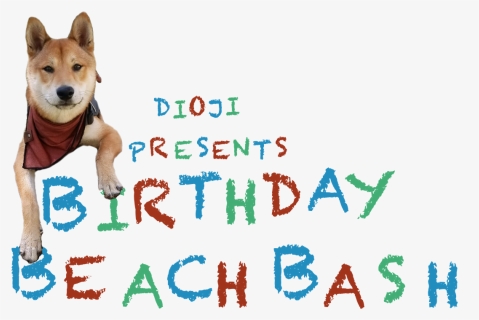 Korean Jindo Dog, HD Png Download, Free Download