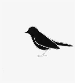 Old World Flycatcher , Png Download - Old World Flycatcher, Transparent Png, Free Download