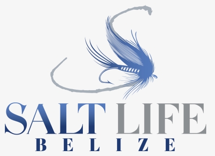 Salt Life - Graphic Design, HD Png Download, Free Download