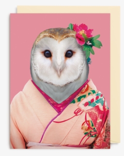 Owl Zoo Portraits, HD Png Download, Free Download