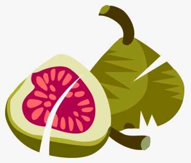 Vector Illustration Of Sliced Common Fig Fruit With - Fig Clip Art, HD Png Download, Free Download