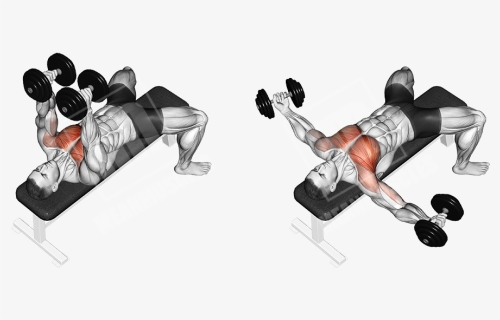 Dumbbell-flys - Bench Press Dumbbell Fly, HD Png Download, Free Download