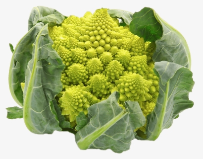 Broccoli Cabbage, HD Png Download, Free Download