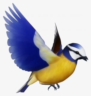 Download This High Resolution Birds Png Clipart - Transparent Bird Png, Png Download, Free Download