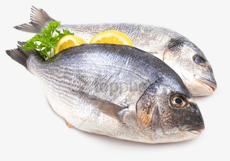 Free Png Fish Meat Png Png Image With Transparent Background - Seafood Fish Png, Png Download, Free Download