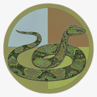 Zodiac Snake , Png Download - Python 从 入门 到 放弃, Transparent Png, Free Download
