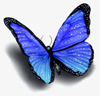 Transparent Butterfly With Shadow, HD Png Download, Free Download
