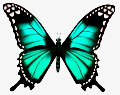 Butterfly Clipart Transparent, HD Png Download, Free Download