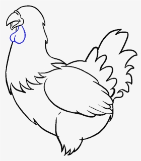 How To Draw Chicken - Chicken Drawing Easy Right, HD Png Download, Free Download