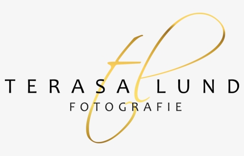 Terasa Lund Fotografie - Fête De La Musique, HD Png Download, Free Download