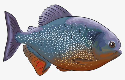 Piranha Rouge Clipart - Pomacentridae, HD Png Download, Free Download