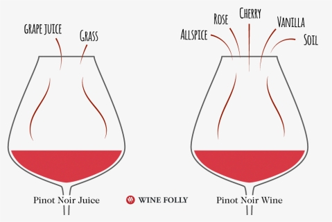 Pinot Noir Wine Aroma, HD Png Download, Free Download
