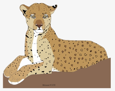 Lion, HD Png Download, Free Download