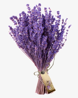 Transparent Lavender Bush Png - Flower Bouquet Png Lavender, Png Download, Free Download