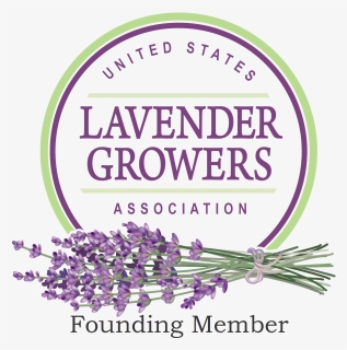 Us Lavender Growers Founding - Lavender Growers Association, HD Png Download, Free Download