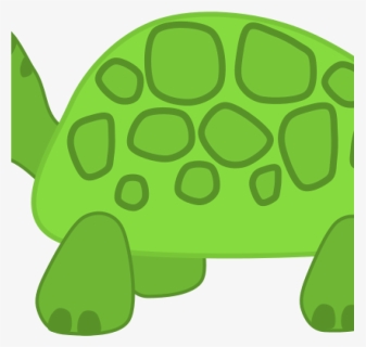 Turtle Images Clip Art Free Clipart Turtle Scout Science - Turtle Transparent Clip Art, HD Png Download, Free Download