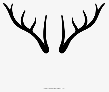 Deer Horns Png - Deer Horn Free Png, Transparent Png, Free Download