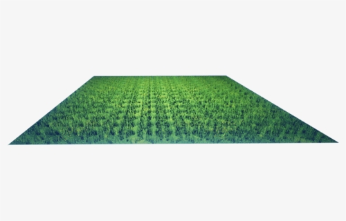 Lawn, HD Png Download, Free Download