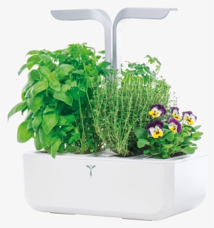 Indoor Garden, Véritable Smart, White Veritable Vpot - Flowerpot, HD Png Download, Free Download