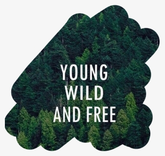 #young#wild#and#free #freetoedit - Young Wild Free Hd, HD Png Download, Free Download
