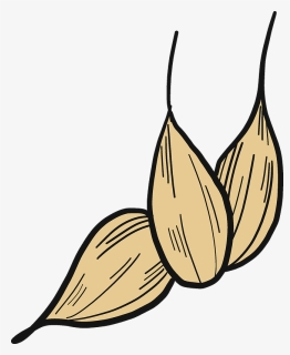 Wheat Grains Clipart, HD Png Download, Free Download