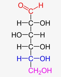 Difference Between Carbohydrates And Lipids Structure, HD Png Download, Free Download