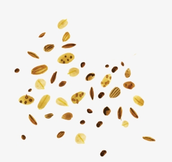 Grains, HD Png Download, Free Download