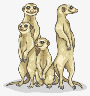 Meerkat, HD Png Download, Free Download