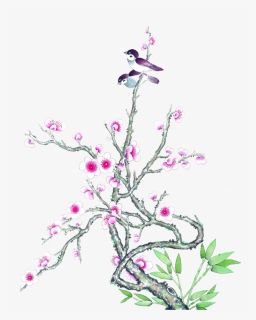 Twitter Blossom Plum Wash Ink Painting Drawing - 花瓶 梅花 素描, HD Png Download, Free Download