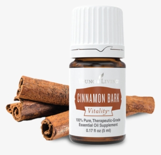 Cinnamon Bark Png - Young Living Cinnamon Bark Vitality, Transparent Png, Free Download