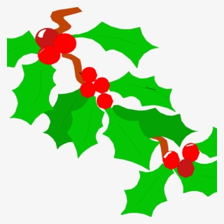 Holly Leaves PNG Images, Free Transparent Holly Leaves Download - KindPNG