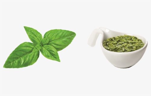 Pesto Leaves Png Free Download - Mate Cocido, Transparent Png, Free Download