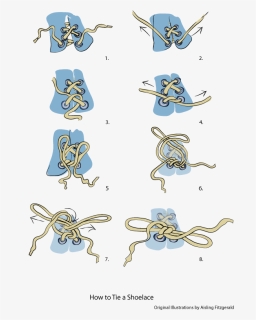 Information Leaflet Illustrating How To Tie A Shoelace - Visual Instructions For Tying Shoes, HD Png Download, Free Download