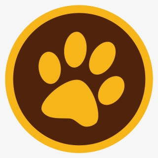 Border Collie, HD Png Download, Free Download